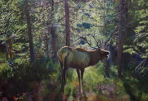 Dan Knepper - "The Forest King": oil Click on Auction Details for buyer's premium info and other terms and conditions.