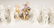 Group of KPM and Meissen Figurines - 2