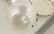 Kalo (Chicago) Sterling Silver Sugar, Creamer and Under - 2