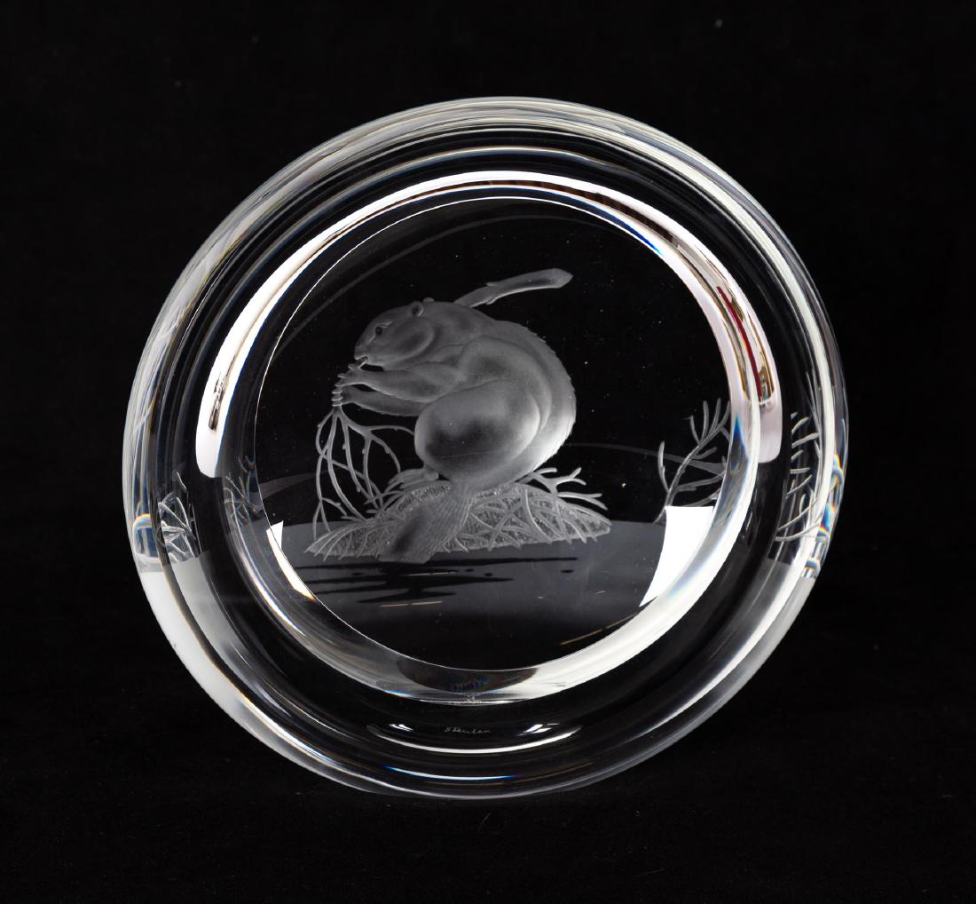 Steuben Beaver (1 of 1)