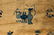 Fine Chinese Carpet - 2