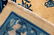 Fine Chinese Carpet - 3