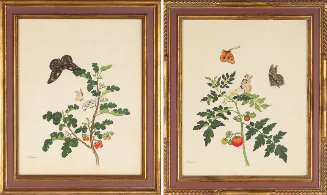 Two Chinese Botanical Watercolors: Two Chinese Botanical Watercolors. Win Achun and other artists. Second watercolor signed lower left. Originally bound these exquisite watercolors were according to an early auction catalog clipping, �