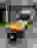 item-81989313=2
