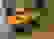 item-81989313=5