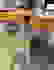item-81989313=7