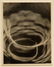 Edward Quigley, "Coils: Light Abstraction"