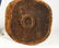 African Ceremonial Box Cover - 3