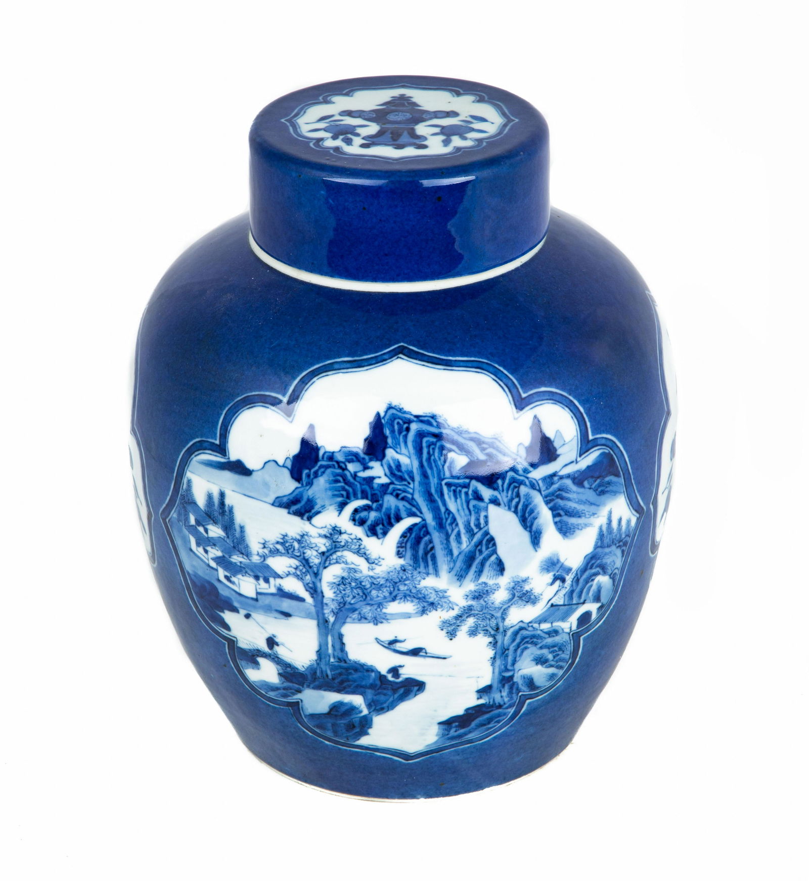 Chinese Blue & White Kangxi Ginger Jar (1 of 8)