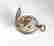 item-101245776=5