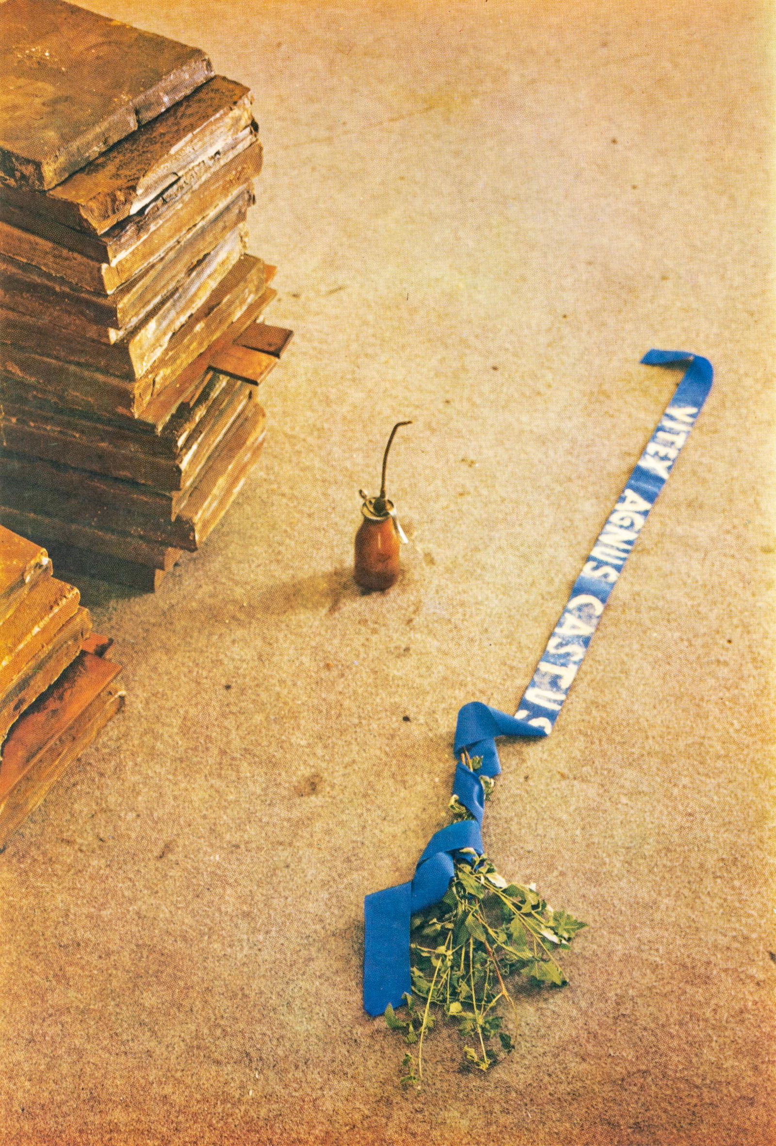 Joseph Beuys (German, 1921-1986) Vitex Agnus Castus (1 of 3)