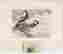 item-128986440=4