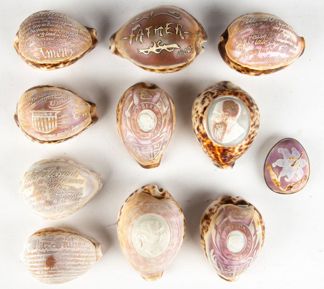 19th Century Carved Cowrie Shells (1 of 1)
