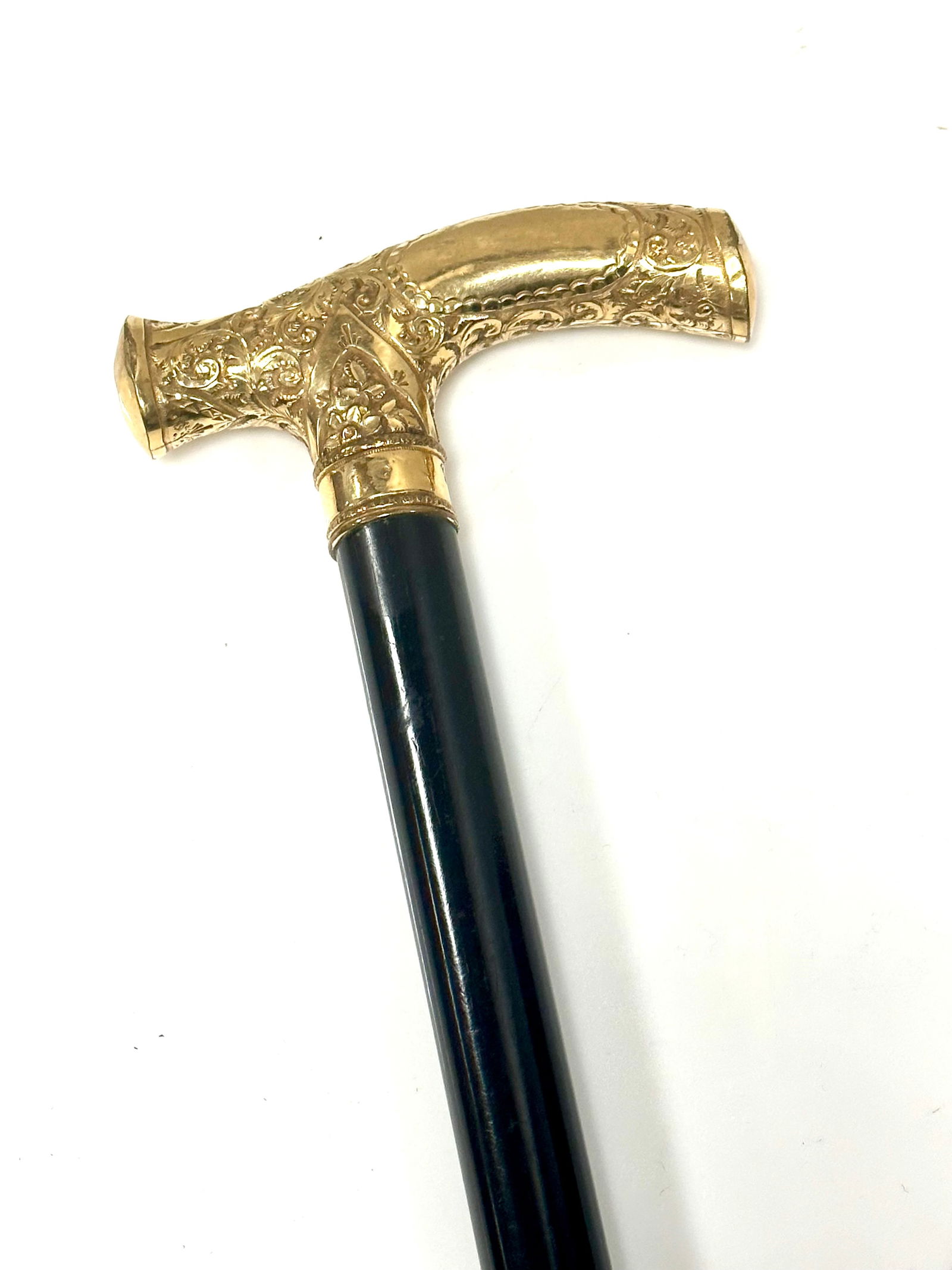 19th Century Cane (1 of 1)