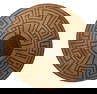Native American Pima Bowl / Basket Tray