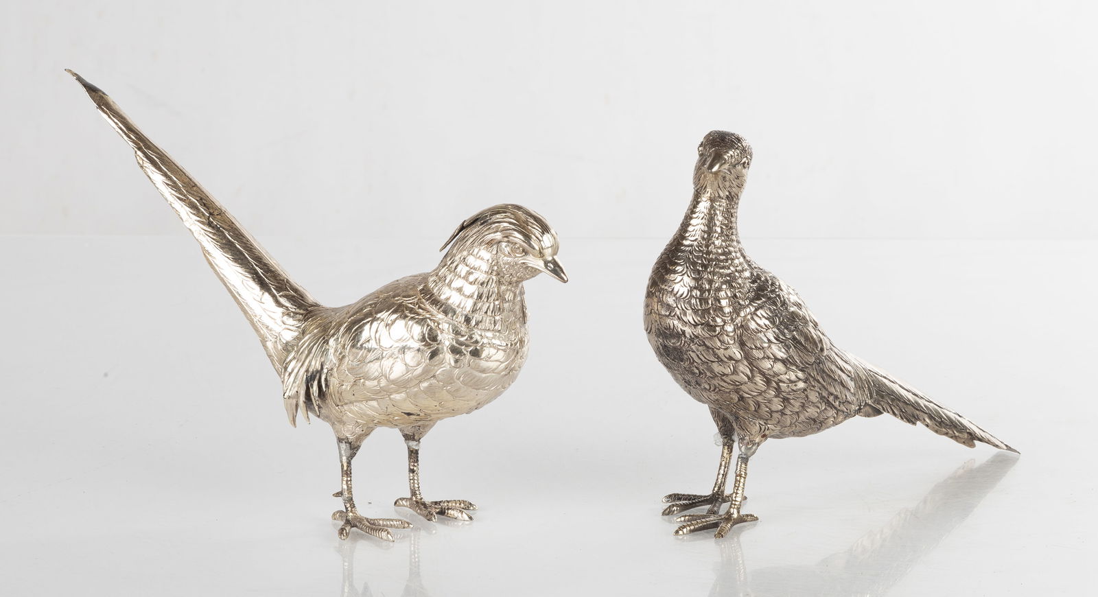 Pair of Silver Pheasants (1 of 3)