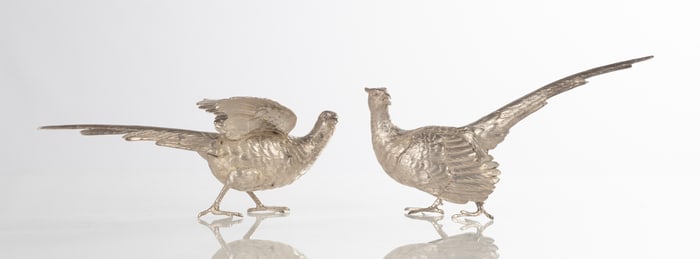 Silver Pheasants