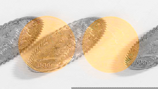 1880 & 1899 Liberty Head $10 Gold Coins: 1880 & 1899 Liberty Head $10 Gold Coins Weight: 33.25 grams. Purchase Note: New customers purchasing silver, gold, or jewelry are required to make payment by wire or check unless previously discussed