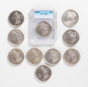 (10) Morgan Silver Dollars