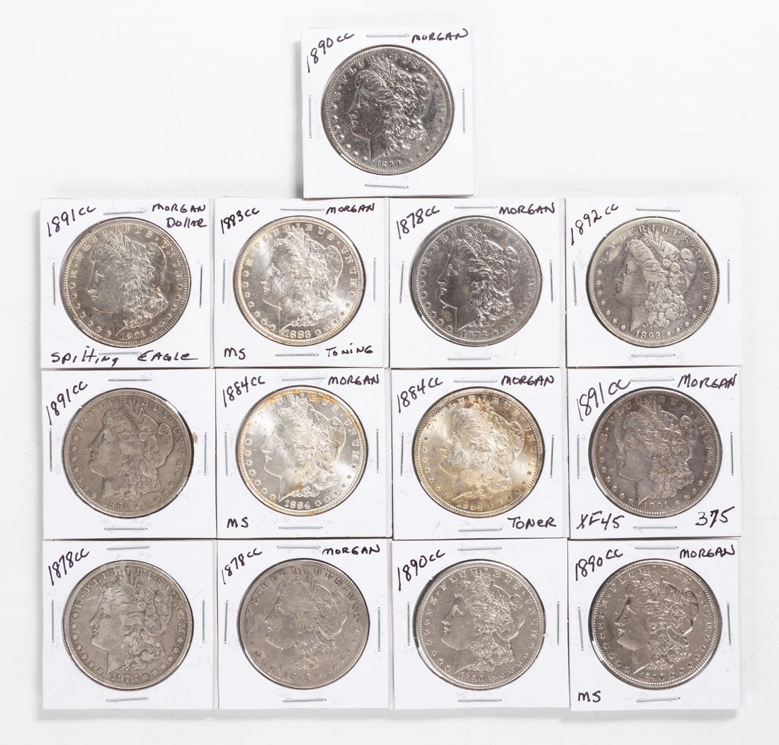 Morgan Silver Dollars (1 of 2)