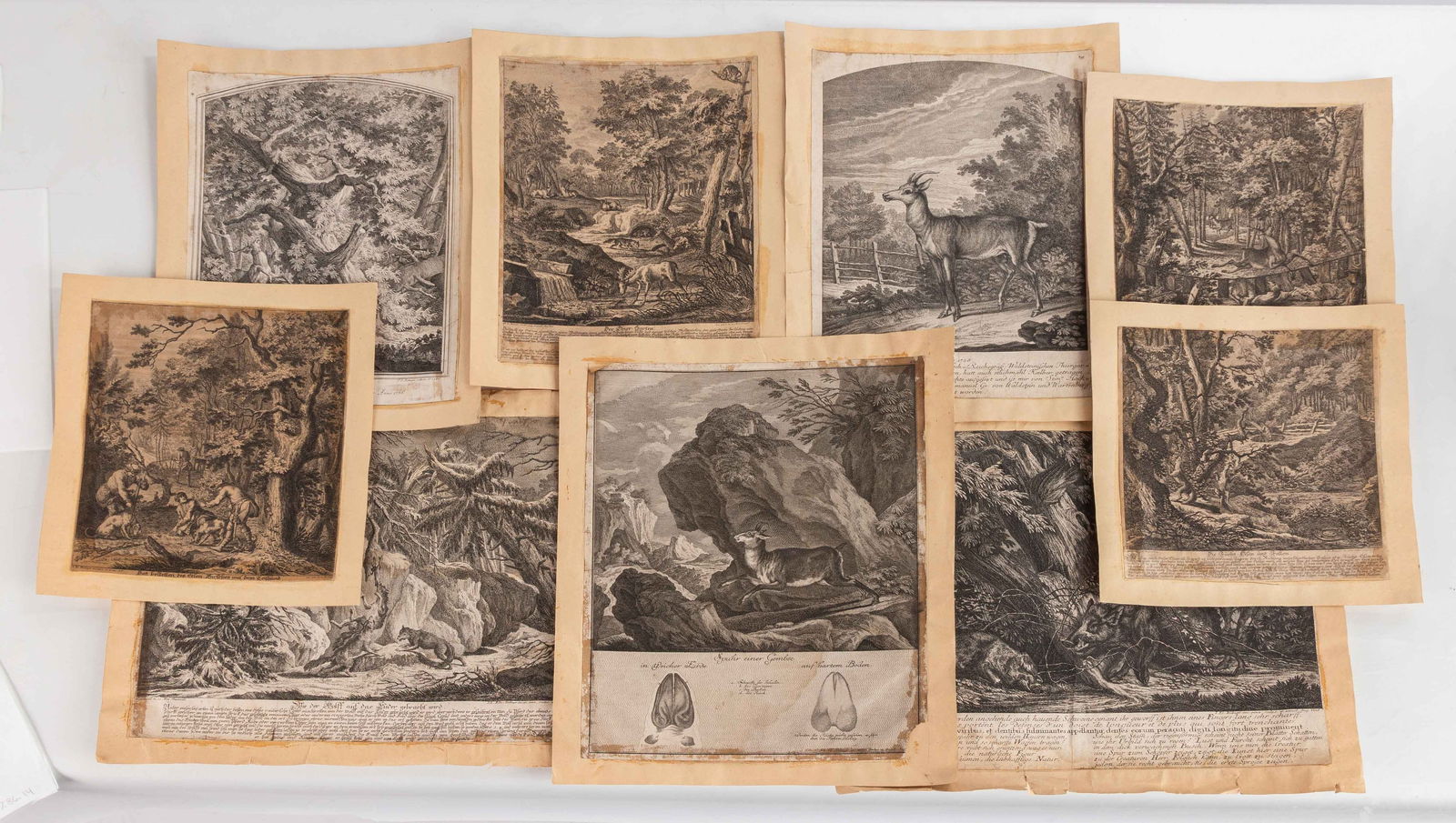 Johann Elias Ridinger (1698-1767) Engravings (from the Princes' Hunting Pleasure) (1 of 4)