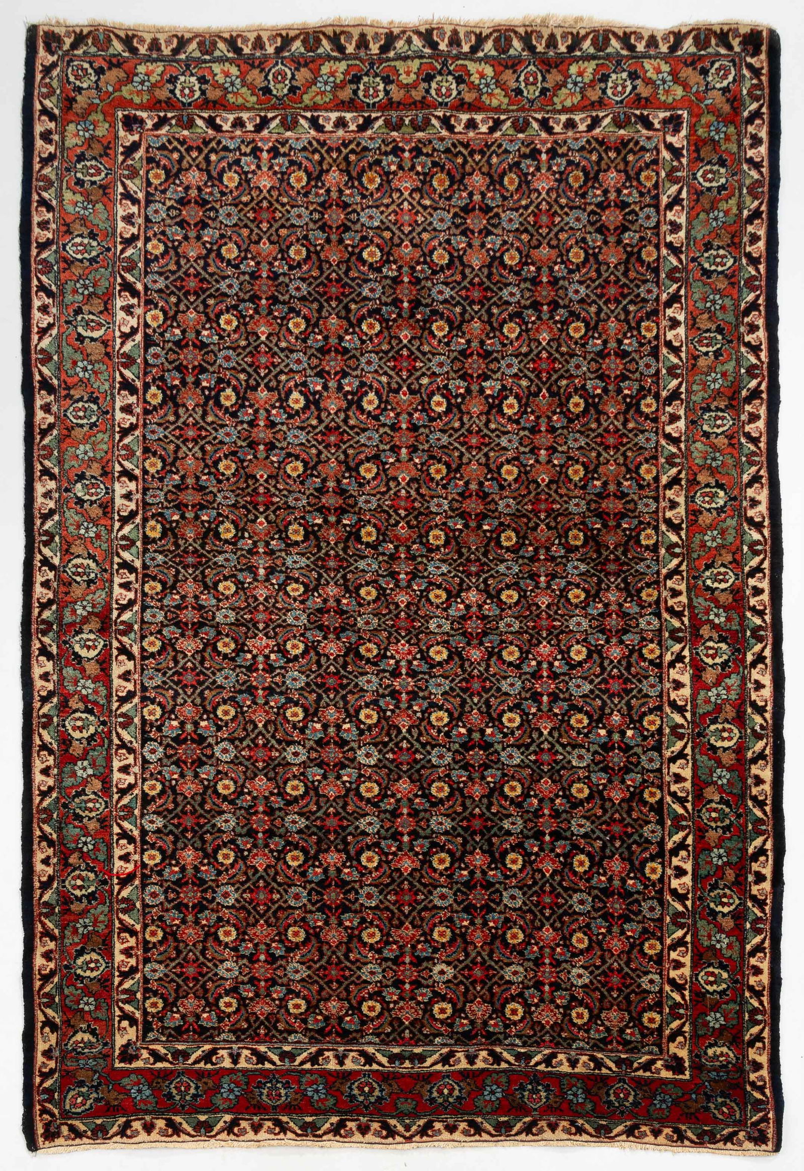 Persian Rug (1 of 2)