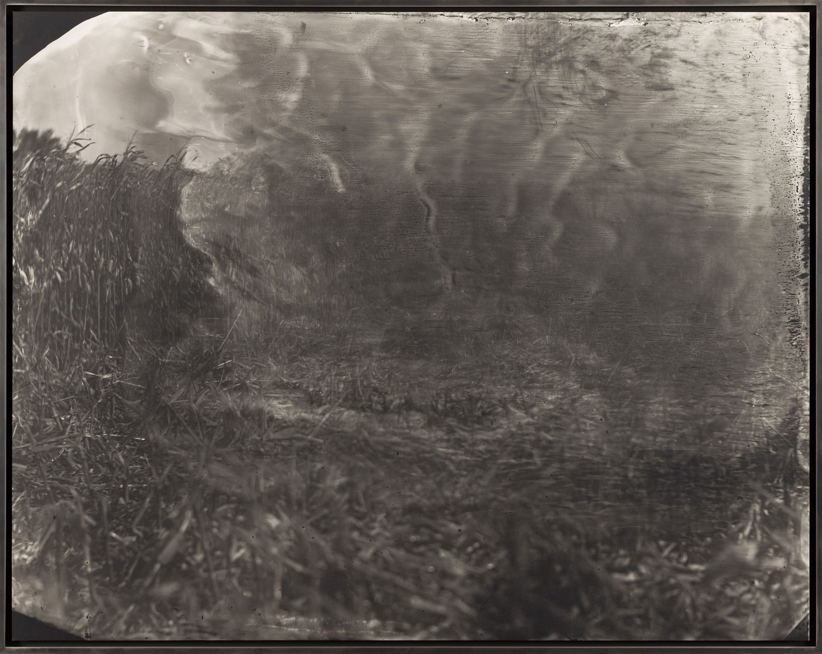 Sally Mann (American, b. 1951) Untitled (Antietam #18): Sally Mann (American, b. 1951) Untitled (Antietam #18) 2001. Gelatin silver enlargement print. Edition 3/5. Exhibition: Sally Mann: Last Measure, 18 September - 15 November 2003. Sally Mann - Battlefi
