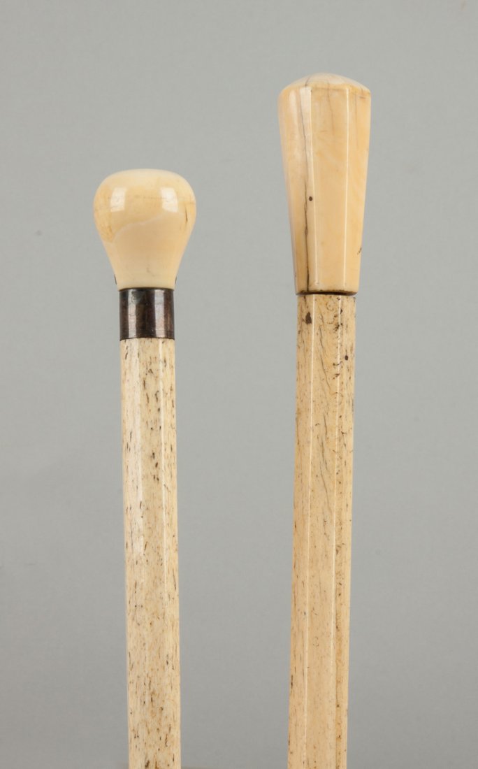 Two Fluted Canes with Carved Handles (1 of 1)