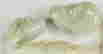 item-43919265=2