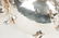 Five Piece English Sterling Silver Tea Set - 2