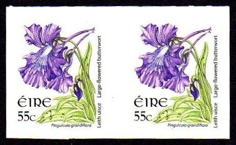 Ireland Flowers Definitve (1 of 1)