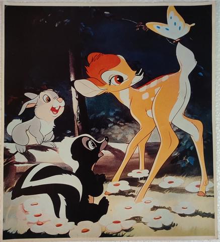 Bambi Promotional Photo (1942): Bambi (Walt Disney Productions, 1942) promotional photo. Animation. Starring Hardie Albright, Stan Alexander, Peter Behn, Donnie Dunagan, Fred Shields, Paula Winslowe. Very minor edge wear, very minor