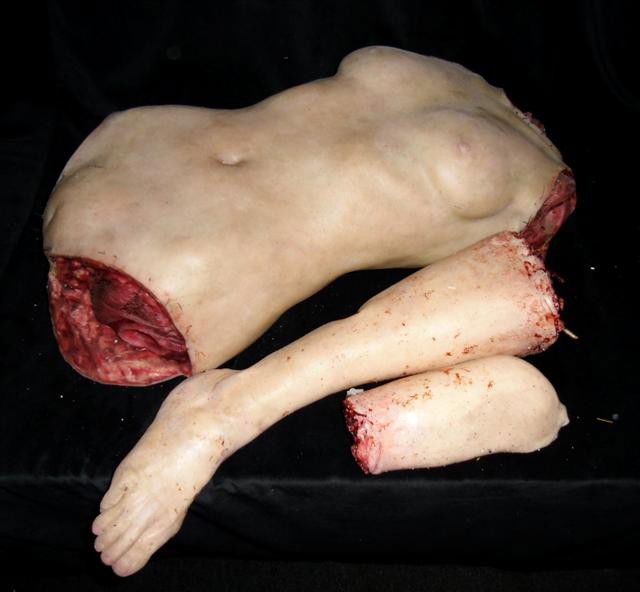 Nip/Tuck (2003-2010) Prosthetic Torso: Nip/Tuck (2003-2010) - From the popular television show about two plastic surgeons, from the episode "Frankenlaura" (Season 3, Episode 6) a life size realistic female torso with head, arms and legs re