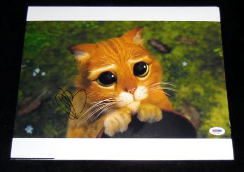 Shrek 2 (2004) Puss In Boots Antonio Banderas Auto: Antonio Banderas Autographed Photo - A high quality signed color print of Puss In Boots from Shrek 2 (2004). Includes PSA/DNA sticker and certification. 11" x 14"