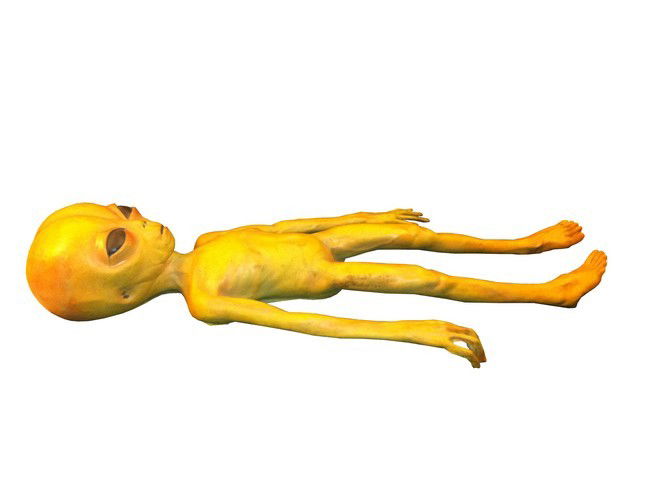 The X-Files Alien Dummy Movie Props: Full-sized alien dummy used in The X-Files. The back of the figure was never seen onscreen, hence it is neither finished nor painted, being instead flat with exposed foam. Oversized item. Additional p