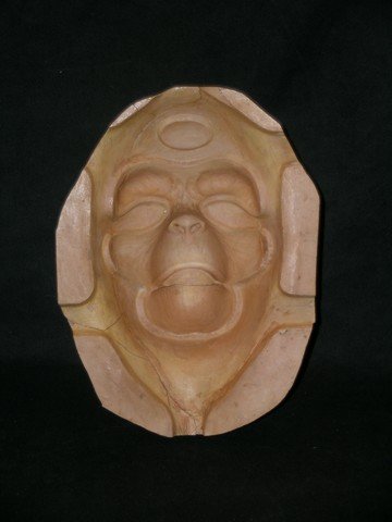 Planet Of The Apes Lou Wagner Plaster Mold: From the 1968 Sci-Fi classic 'Planet of the Apes,' this is the plaster face mold used to create the appliances for Lou Wagner's teenage character of Lucius. Lou Wagner was a diminutive actor who found