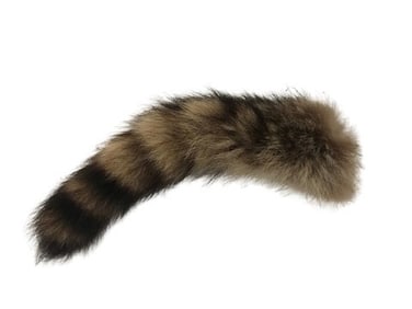 SFX Raccoon Tail Movie Props