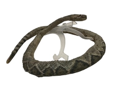 Terminator Franchise SFX Rattlesnake Movie Props