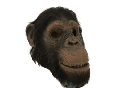 Ed Chimpanzee Animatronic Head Movie Props
