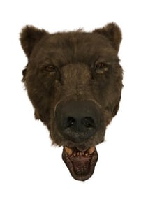 The Edge Animatronic Bear Head Movie Props