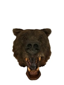 The Edge Animatronic Stunt Bear Head Movie Props