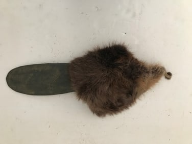 Beaver SFX Tail/ Hertz Commercial