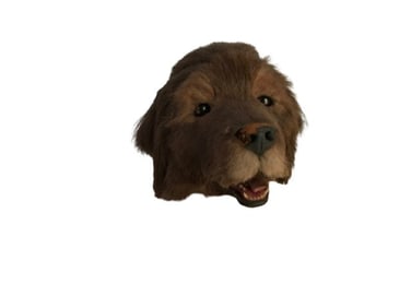 Fluke Animatronic Puppy Head Movie Props