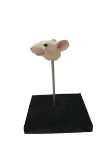 Stuart Little Prototype Mouse Head Movie Props