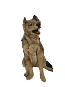 Wolf Animatronic Puppet TV/Movie Props