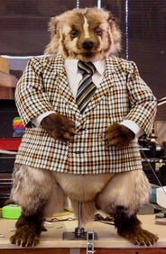 Grady The Badger Animatronic TV/Movie Props