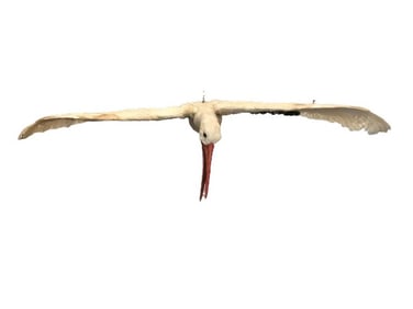 Flying Stork Puppet TV/Movie Props