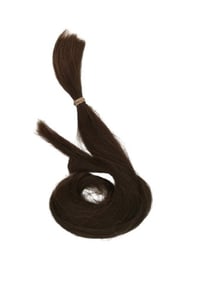 Team America Gary's Lock of Hair Movie Props