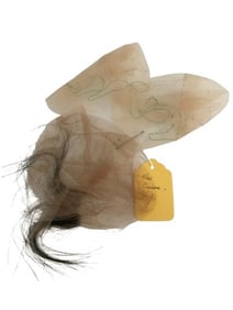 Team America Carson's Lock of Hair Movie Props