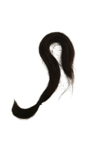 Team America: World Police Sarah's Lock of Hair Movie Props